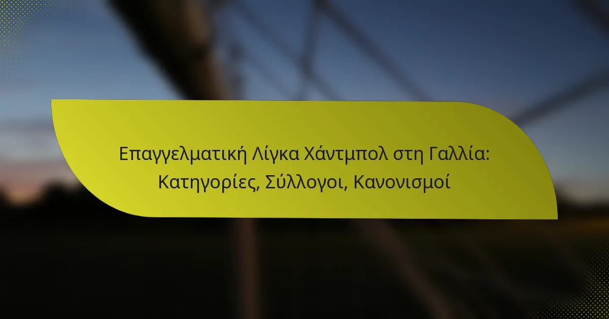 Επαγγελματική Λίγκα Χάντμπολ στη Γαλλία: Κατηγορίες, Σύλλογοι, Κανονισμοί