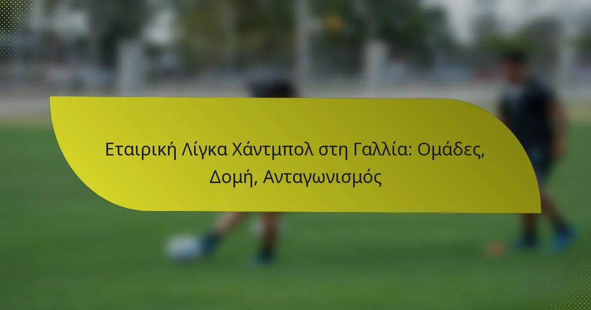 Εταιρική Λίγκα Χάντμπολ στη Γαλλία: Ομάδες, Δομή, Ανταγωνισμός