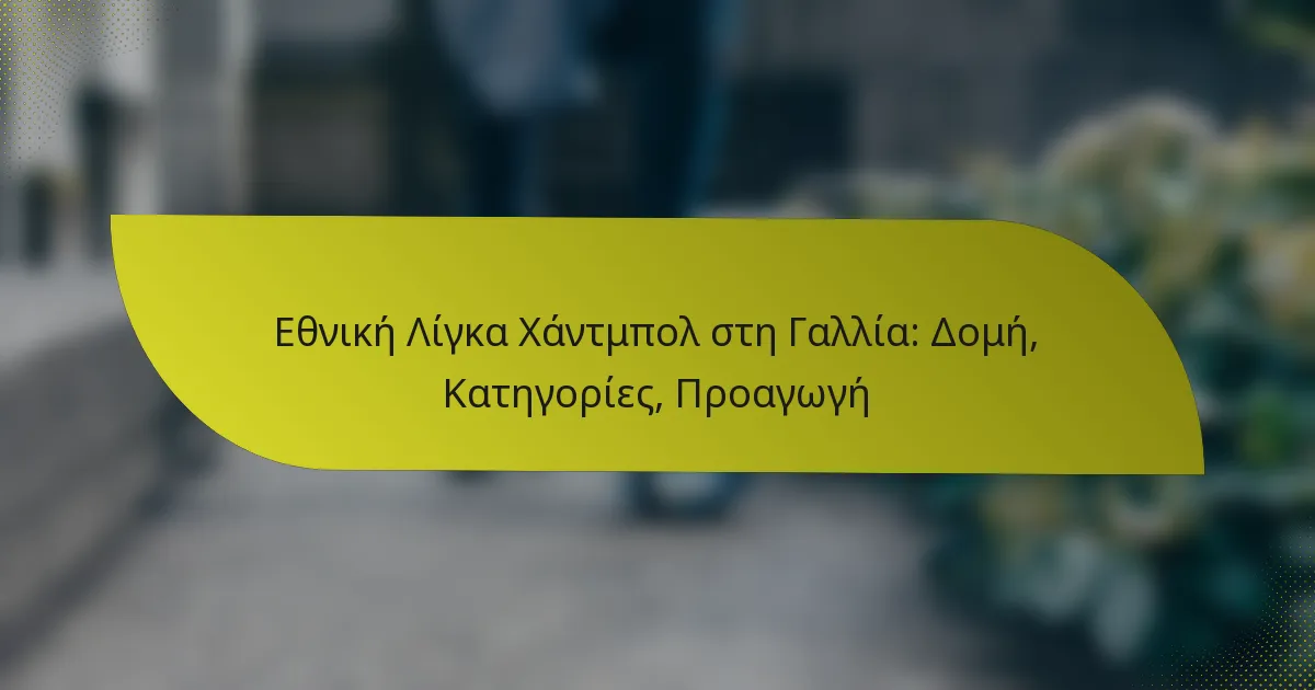 Εθνική Λίγκα Χάντμπολ στη Γαλλία: Δομή, Κατηγορίες, Προαγωγή