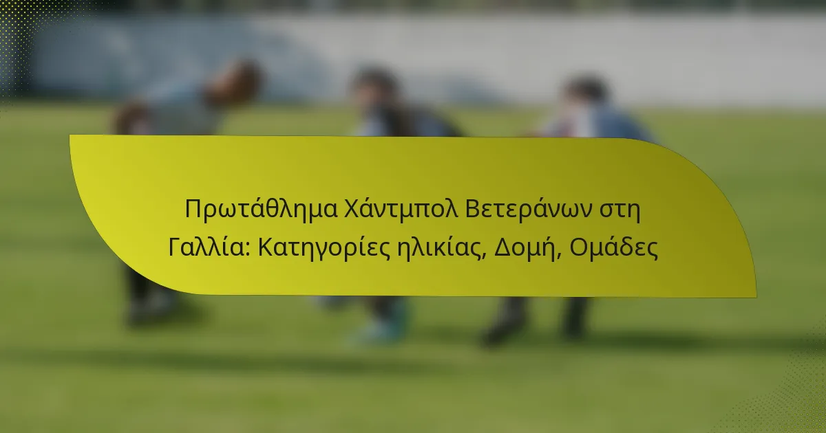 Πρωτάθλημα Χάντμπολ Βετεράνων στη Γαλλία: Κατηγορίες ηλικίας, Δομή, Ομάδες