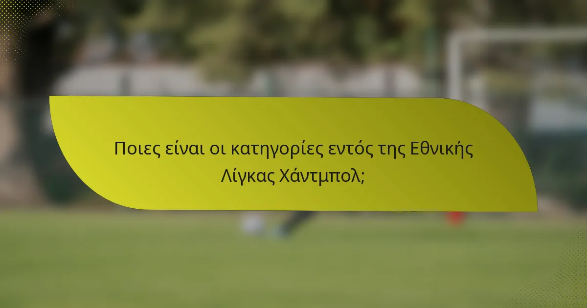 Ποιες είναι οι κατηγορίες εντός της Εθνικής Λίγκας Χάντμπολ;