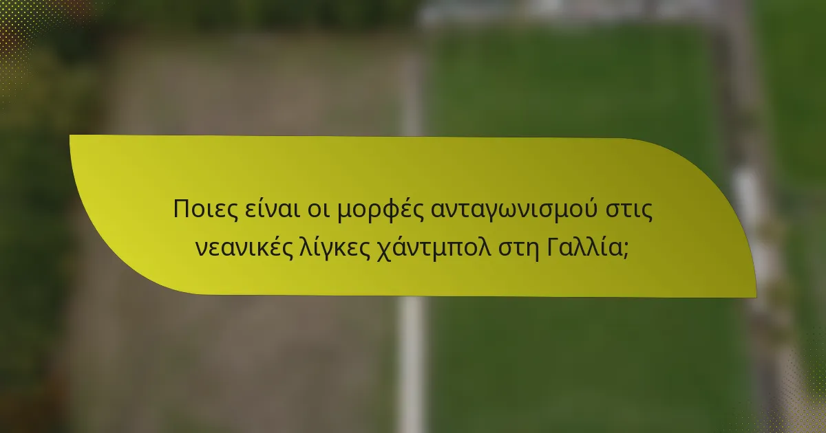 Ποιες είναι οι μορφές ανταγωνισμού στις νεανικές λίγκες χάντμπολ στη Γαλλία;
