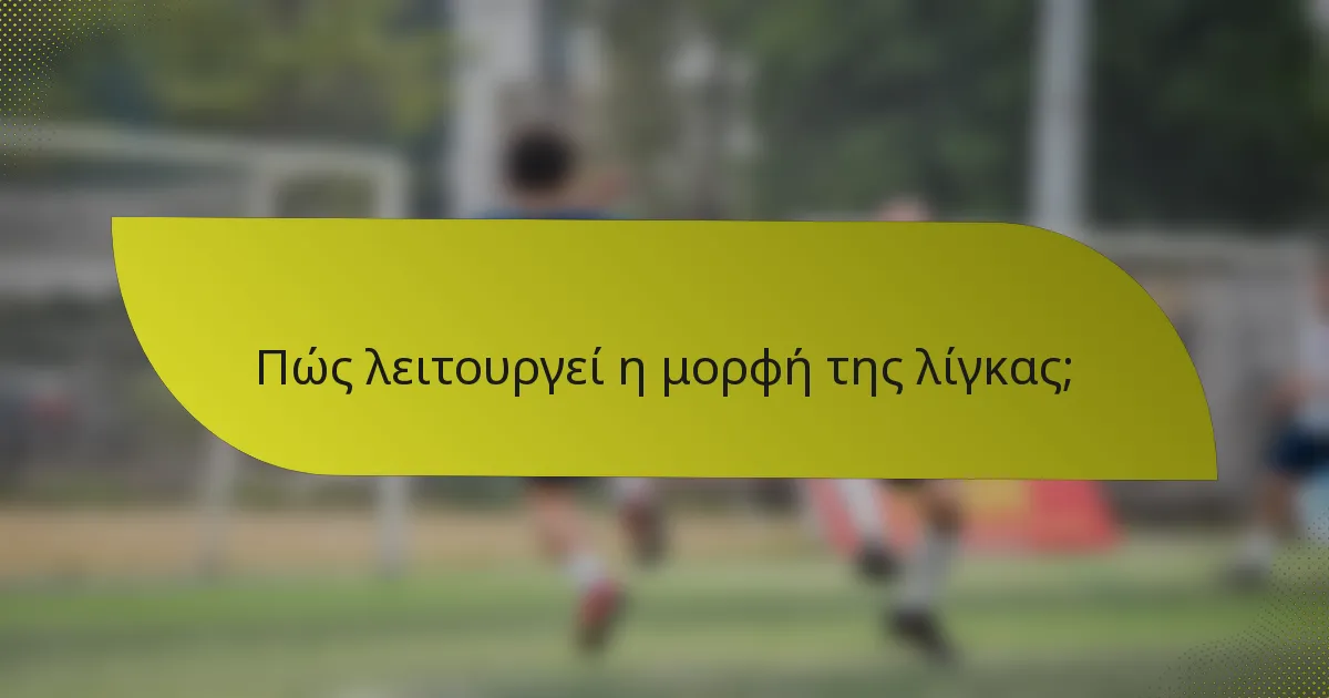 Πώς λειτουργεί η μορφή της λίγκας;